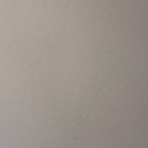 Meet your Posher, Brendan